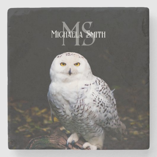 冬威厳のある雪フクロウモノグラム名前をカスタムする ストーンコースター (正面)