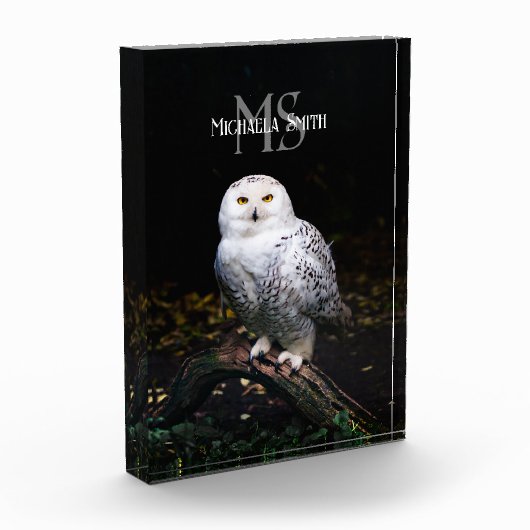 冬威厳のある雪フクロウモノグラム名前をカスタムする フォトブロック (左)