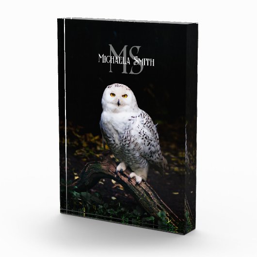 冬威厳のある雪フクロウモノグラム名前をカスタムする フォトブロック (右)