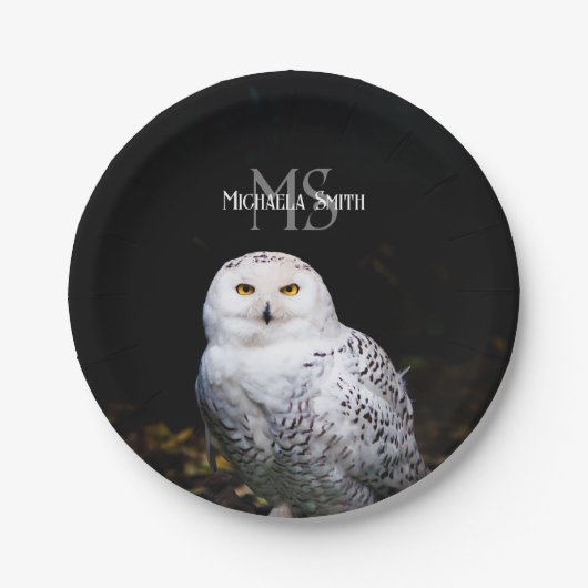 冬威厳のある雪フクロウモノグラム名前をカスタムする ペーパープレート (正面)