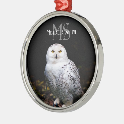 冬威厳のある雪フクロウモノグラム名前をカスタムする メタルオーナメント (左)