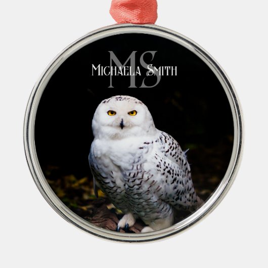 冬威厳のある雪フクロウモノグラム名前をカスタムする メタルオーナメント (正面)