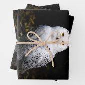 冬威厳のある雪フクロウモノグラム名前をカスタムする ラッピングペーパーシート (インサイチュ)