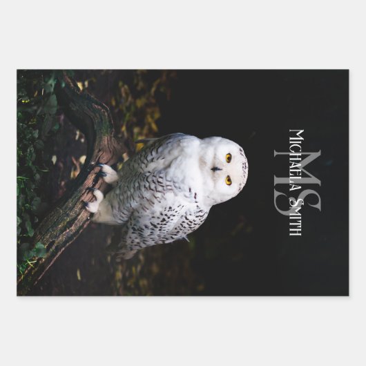冬威厳のある雪フクロウモノグラム名前をカスタムする ラッピングペーパーシート (正面)