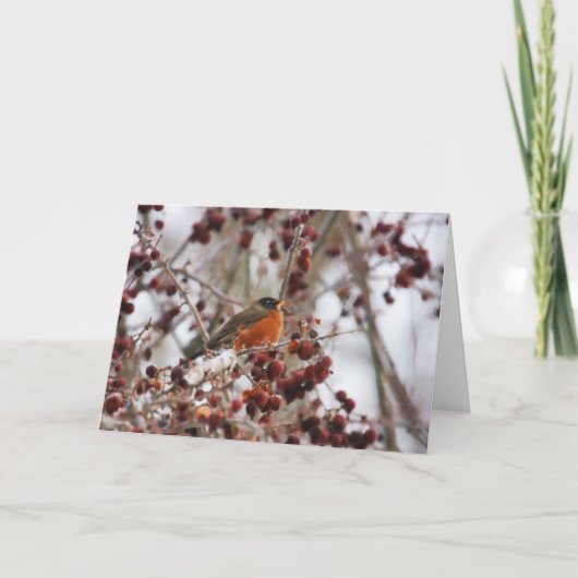 冬季を迎えるロビン シーズンカード (正面)