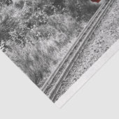 冬季列車ティッシュペーパー 薄葉紙 (詳細)