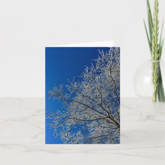 冬季挨拶状の美しい シーズンカード (正面)