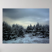 冬嵐ポスター ポスター (正面)