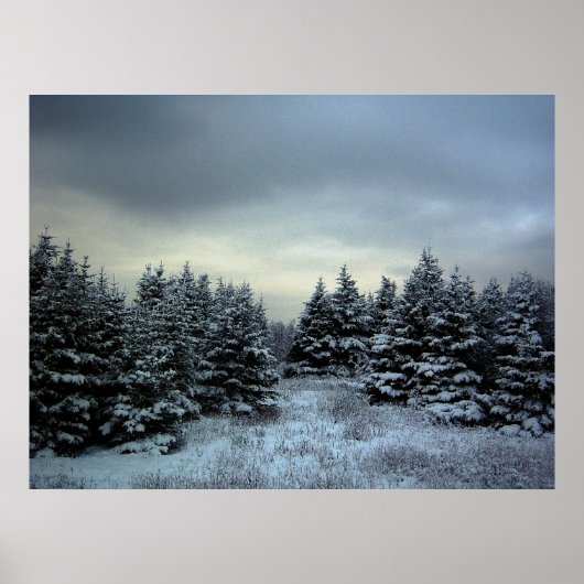 冬嵐ポスター ポスター (正面)