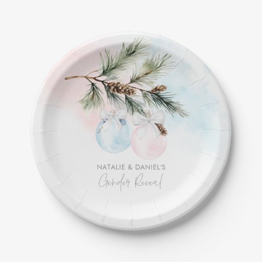 冬性別リビール紙プレート ペーパープレート (正面)