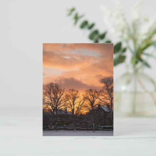冬日の出 ポストカード (スタンド正面)