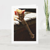 "冬日光" カード (正面)