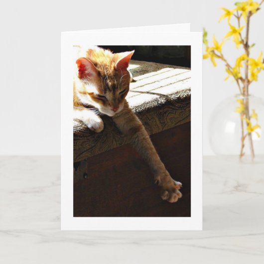 "冬日光" カード (黄色い花)