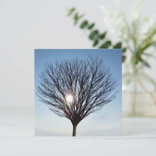 冬日 (スタンド正面)