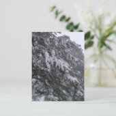 冬松葉書 ポストカード (スタンド正面)