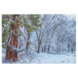 冬林の風景 メタルプリント