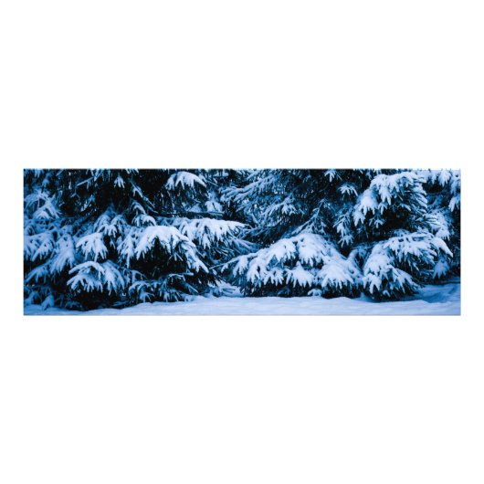 冬林クリスマスツリー フォトプリント            (正面)