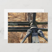 冬林橋カード ポストカード (正面/裏面)