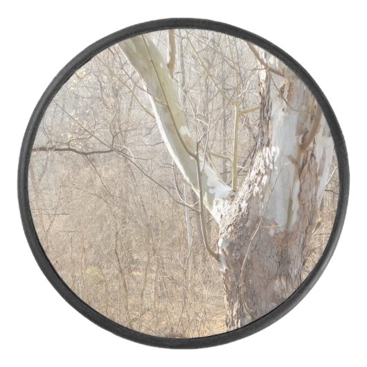 冬林 アイスホッケーパック (正面)