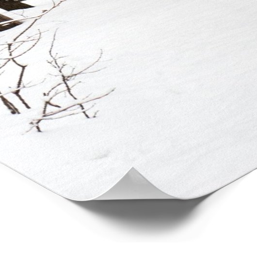 冬林 ポスター (角)