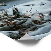 冬林 ポスター (角)