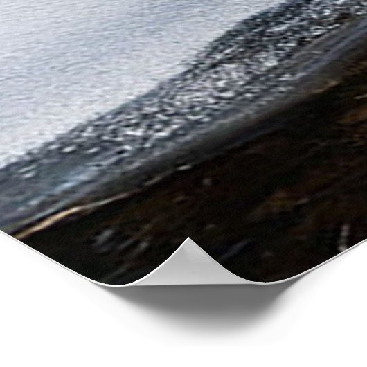 冬林 ポスター (角)