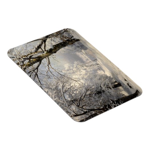 冬林 マグネット (右側)