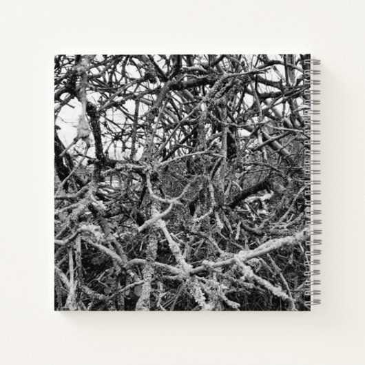 冬枯れ木 ノートブック (裏面)