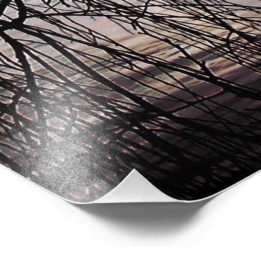 冬柳 フォトプリント            (角)