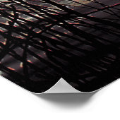 冬柳 ポスター (角)