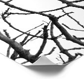 冬樹ポスター ポスター (角)