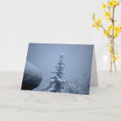 冬樹 カード (黄色い花)