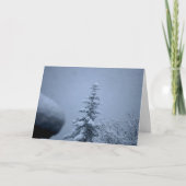 冬樹 カード (正面)