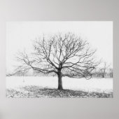 冬樹 ポスター (正面)