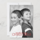 冬樺の木ツリー両面フォトカード シーズンカード (正面)