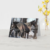 冬毛布 カード (黄色い花)