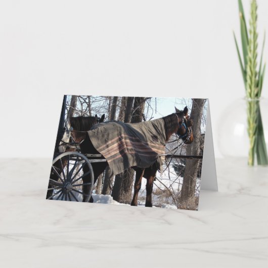 冬毛布 カード (正面)