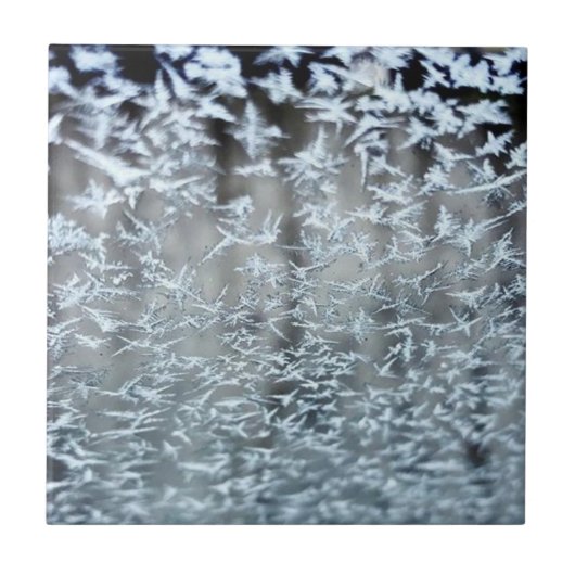 冬氷柱 タイル (正面)
