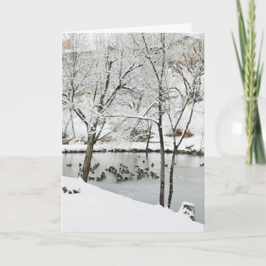 冬池のホリデーカード シーズンカード (正面)