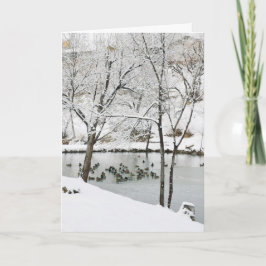 冬池のホリデーカード シーズンカード