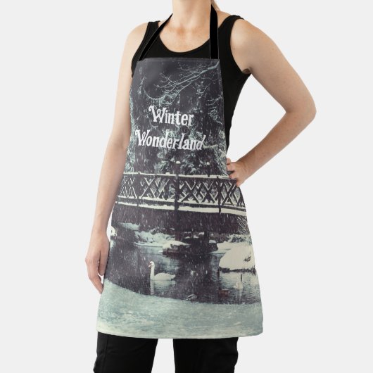 冬池 エプロン (インサイチュ)