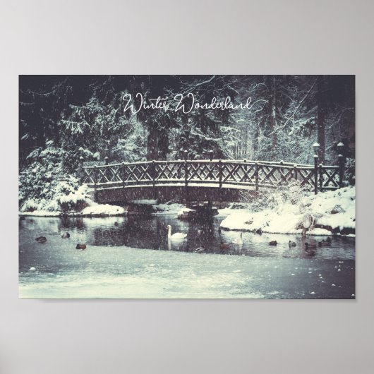 冬池 ポスター (正面)