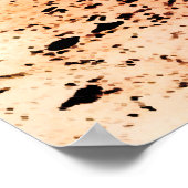 冬海 ポスター (角)