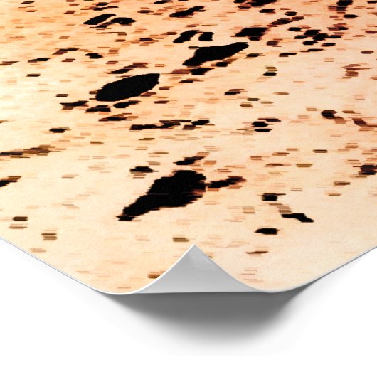 冬海 ポスター (角)