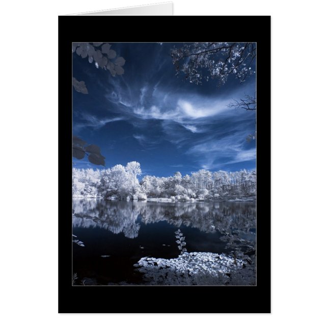 冬湖の景色 (正面)