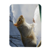 冬灰色リス磁石 マグネット (縦)