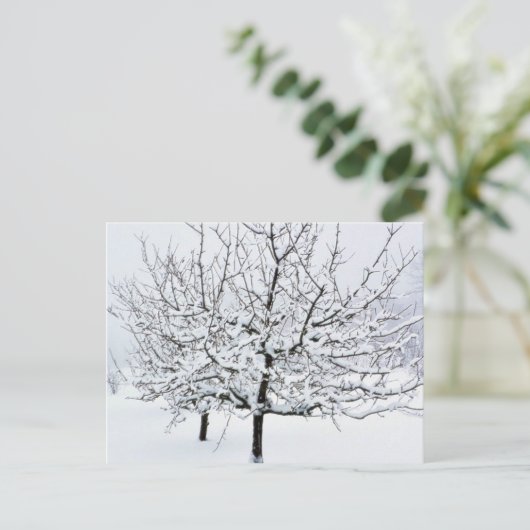 冬物の果樹 ポストカード (スタンド正面)