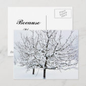 冬物の果樹 ポストカード (正面/裏面)