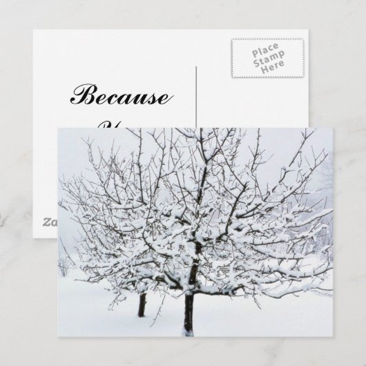 冬物の果樹 ポストカード (正面/裏面)