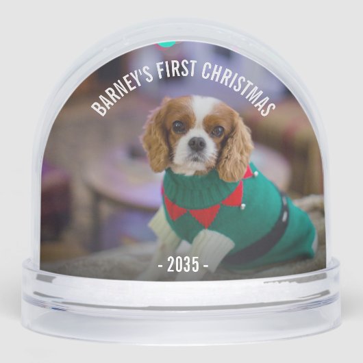 冬犬の写真クリスマス (正面)